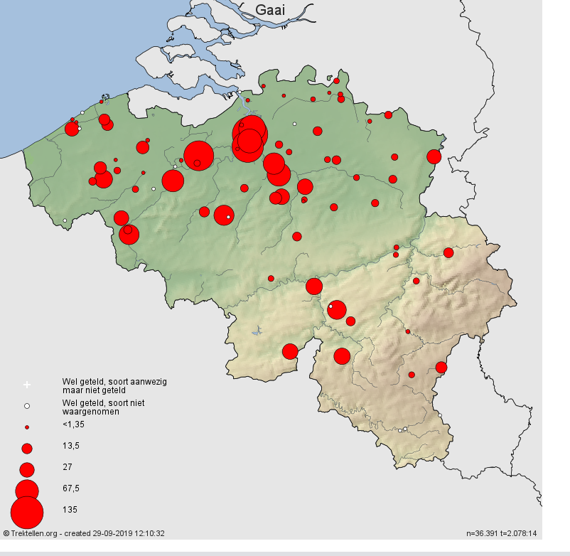 gaai grafiek 2019 (2)